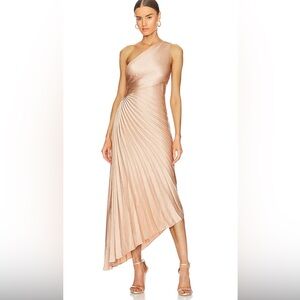 A.L.C Delfine Dress in Champagne Bella